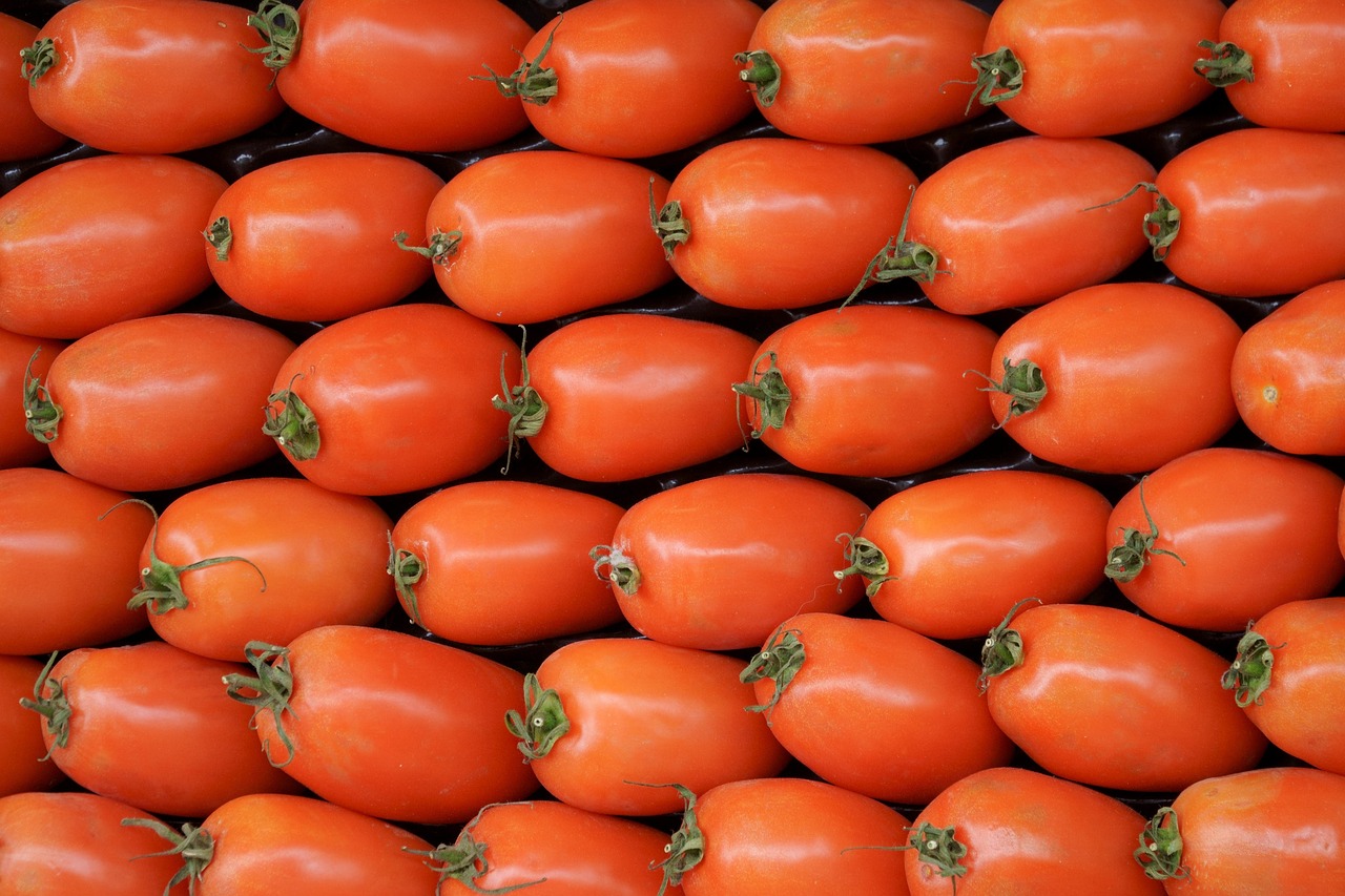 A close-up shot shows several bright red San Marzano tomatoes, some still on the vine, with green leaves and a blurred background.