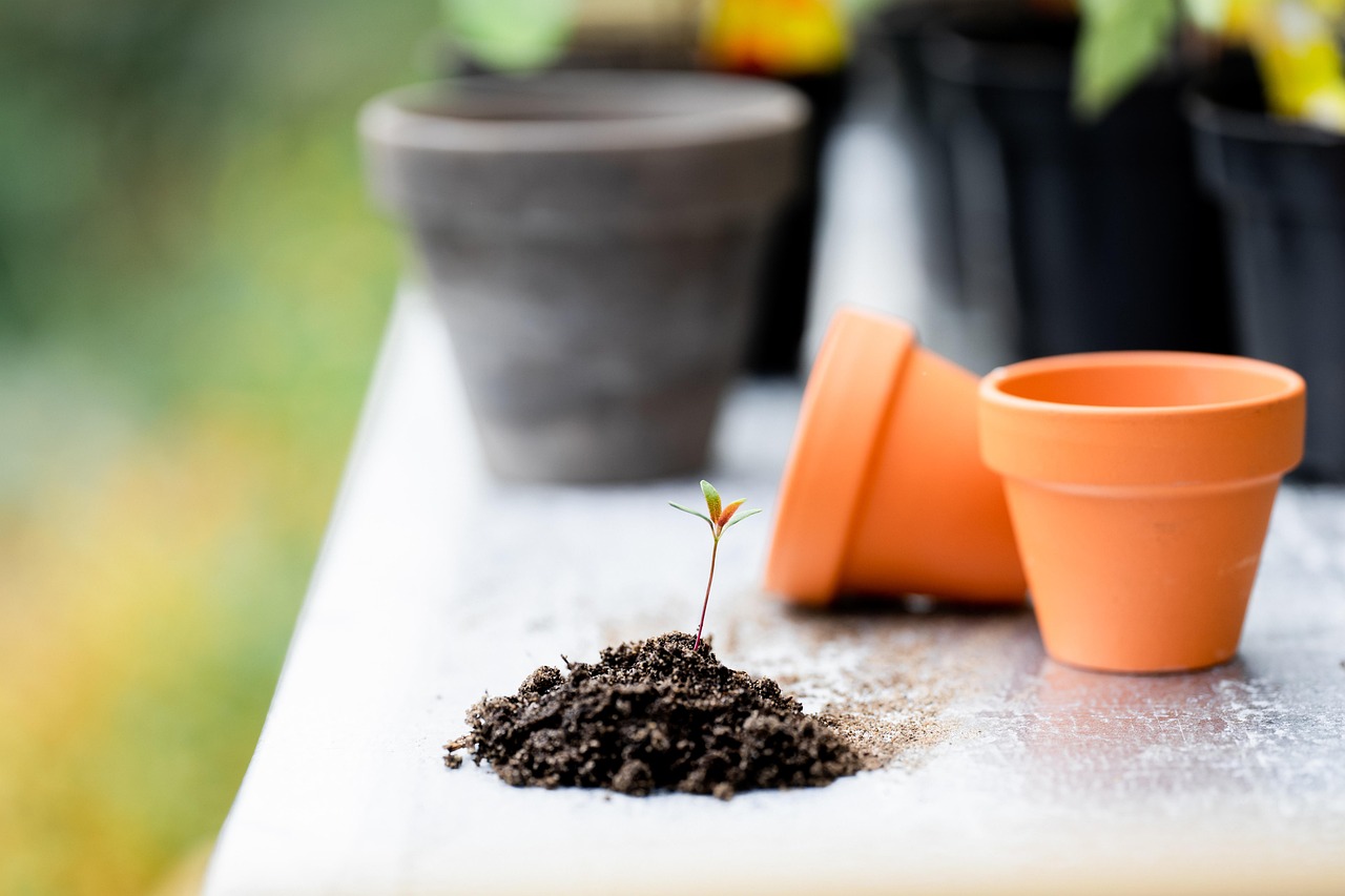 A person is shown planting a small green plant with their hands in a garden bed, surrounded by other plants and soil.