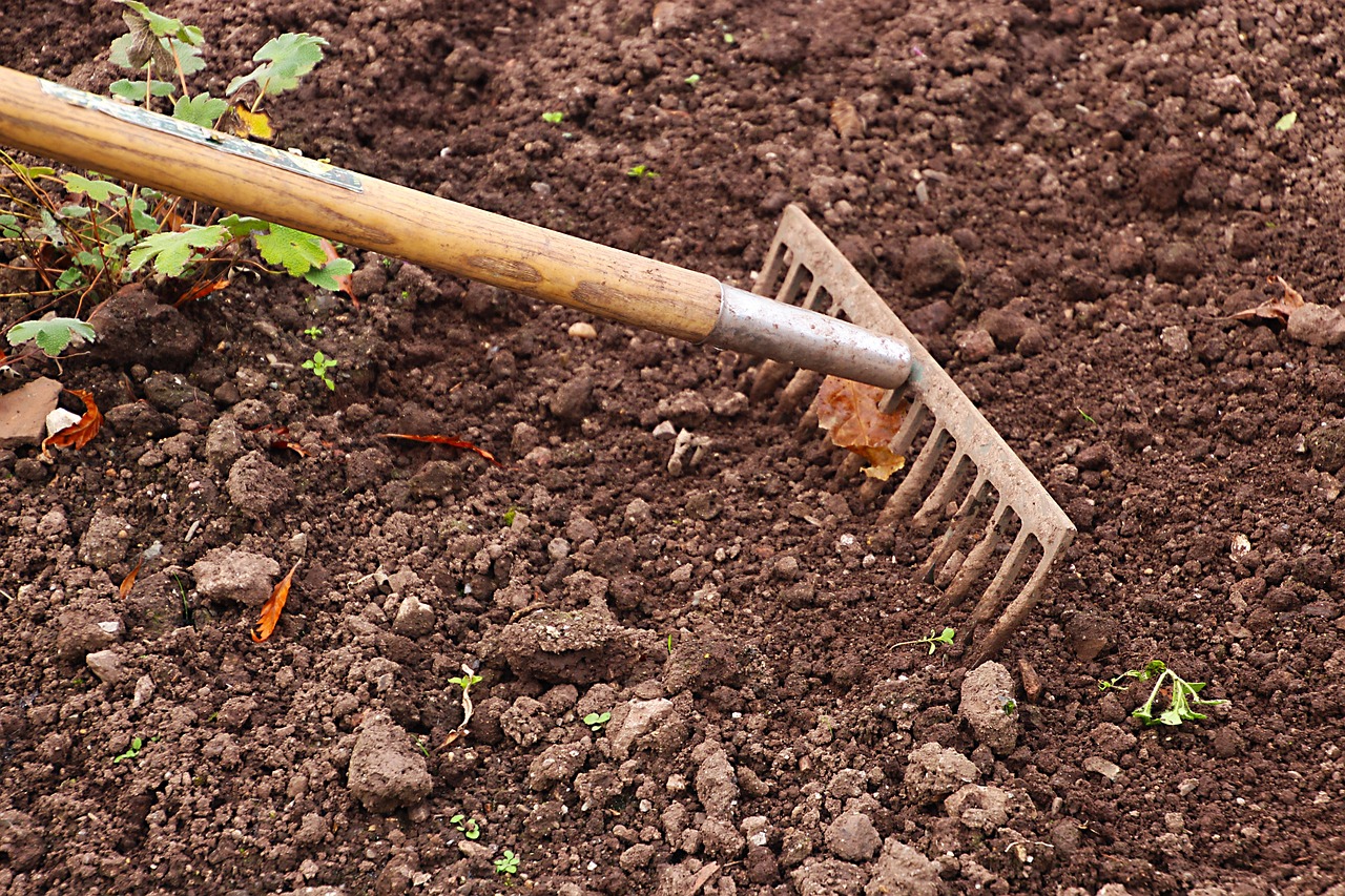 A person is shown planting a small green plant with their hands in a garden bed, surrounded by other plants and soil.