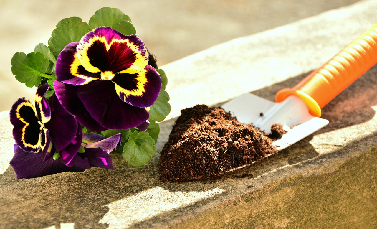 A close-up shot shows a person's hands wearing gardening gloves, holding a small green plant with visible roots, ready to be planted in soil.